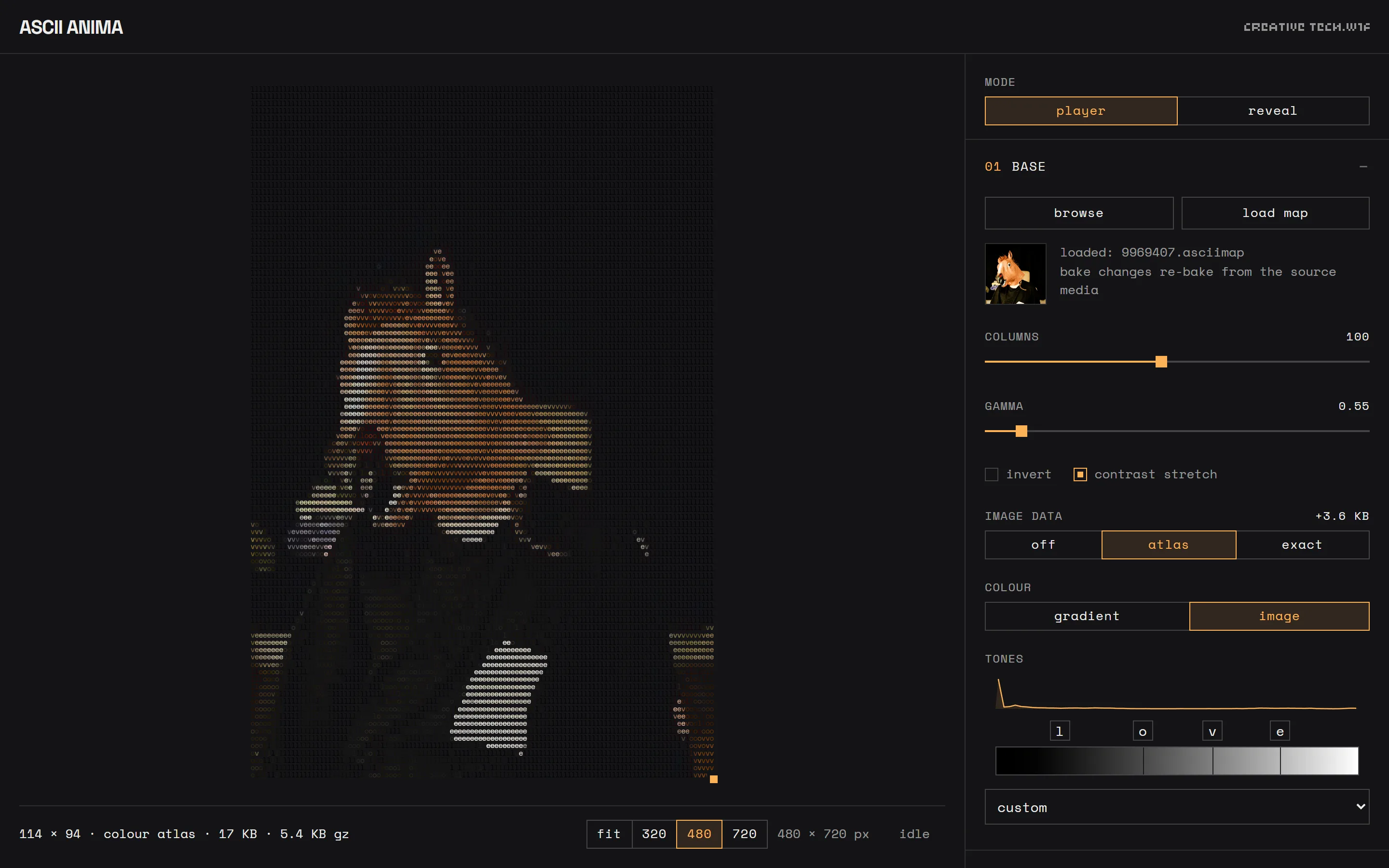The mapper: a live ASCII preview of a person in a horse mask on the left, settings for source, columns, gamma, image data and tones on the right.